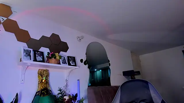 evy orange1 online show from March 21, 3:00 am