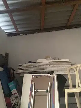 Charlotte Bradshaw online show from March 18, 3:06 pm