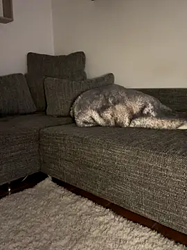 godspot  online show from October 30, 8:21 pm