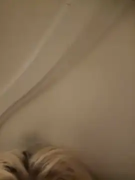 SirenitySirenxx online show from September 23, 8:45 am