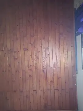      sams online show from November 15, 8:43 pm