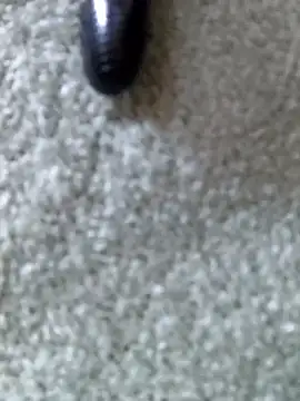 Ananya 34 online show from November 22, 4:15 am