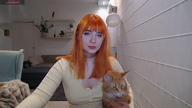 Kotis Foxy online show from February 2, 7:35 pm