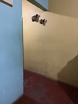 Fernandoo Oficial online show from April 25, 1:19 am