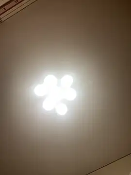 Janet Welder online show from May 21, 8:07 pm