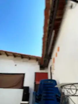 Leo bunny hot online show from February 6, 7:17 pm