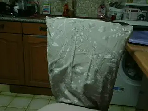 VeneRed online show from April 4, 9:02 pm