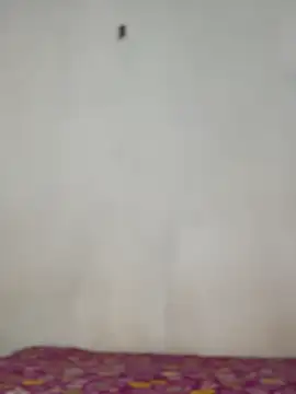 Nicole cute1 online show from November 30, 7:29 pm