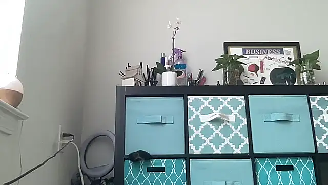 spinprincess  online show from February 12, 6:31 pm