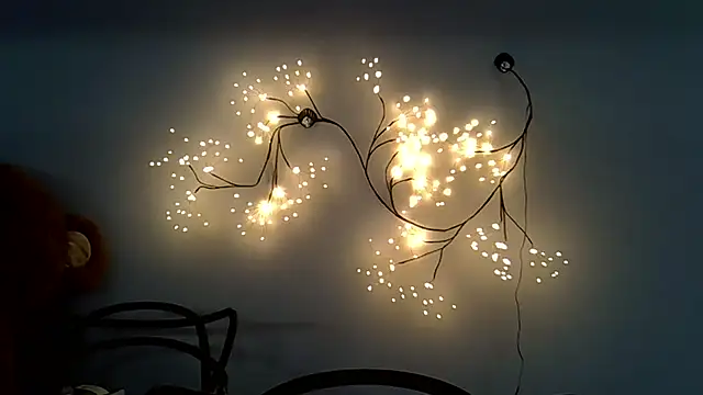 Lucky Anna online show from December 14, 9:04 am