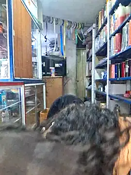 nidia2026 online show from March 8, 1:04 pm