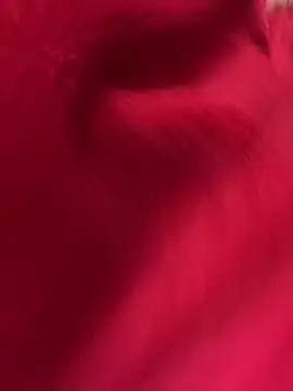 Luciouslouise72xh online show from October 11, 4:42 pm