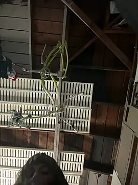 PhattPinxkTaco online show from February 16, 7:52 am