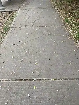 Maggie Geller online show from November 28, 5:38 pm