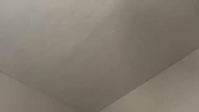 skyejde online show from February 19, 2:49 pm