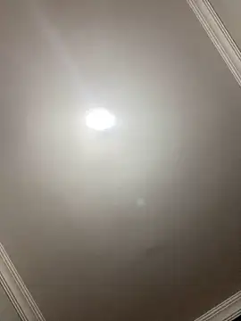 yasemintas online show from November 3, 9:19 pm