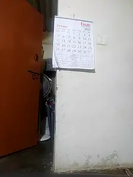 pallu telgu kannada online show from October 23, 12:55 pm