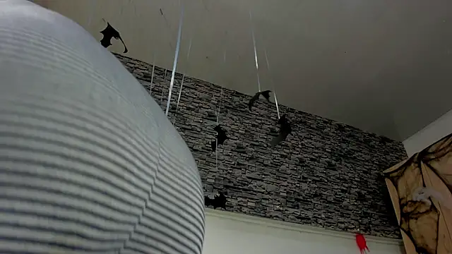 tianna princess online show from October 22, 12:10 pm