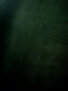 royall queen online show from January 12, 2:33 pm