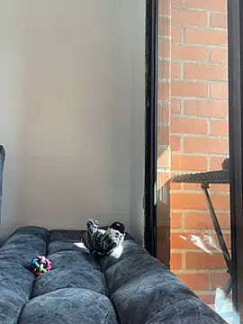 carlafox05 online show from April 16, 8:08 pm