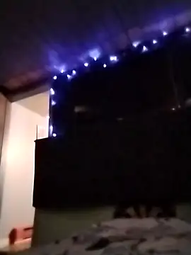 SorbingTremor online show from November 5, 2:28 am