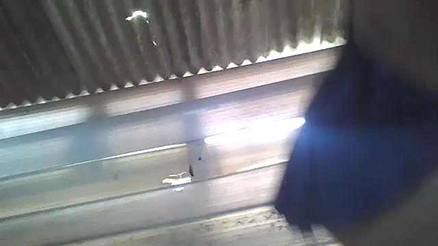 srtsara online show from April 17, 4:42 pm