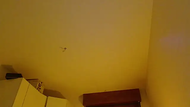 refem9 online show from November 9, 7:43 pm