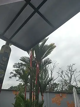 Yessica Lopezz online show from March 5, 11:28 am