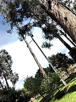 Yaya watson online show from April 1, 6:38 pm