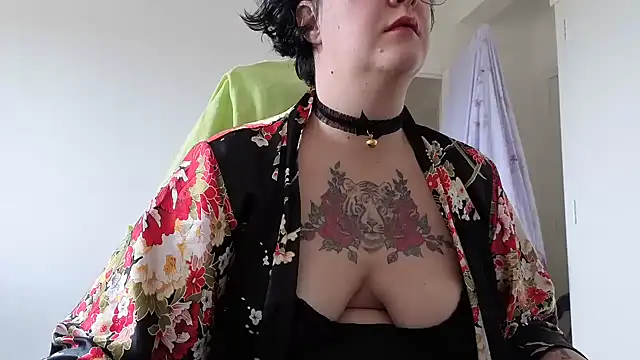 DadoTigresse online show from January 14, 1:05 pm