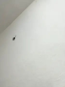 Nia Desire online show from October 9, 7:23 am