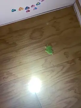 kiittyselenita online show from April 12, 2:47 am