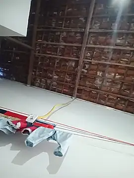 Brunaa3 online show from November 3, 10:30 am