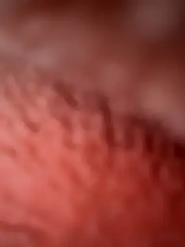 Snapshot of oryanna_sex chatting on October 24, 8:16 pm oryanna sex online show from October 24, 8:16 pm