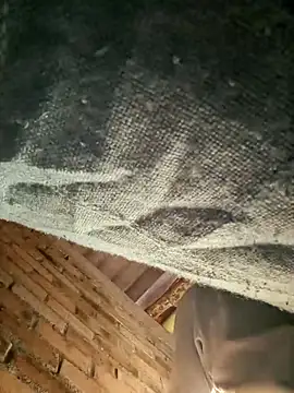 GaaraDiaz online show from December 20, 8:02 pm