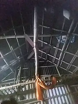 Tamilauntyhot online show from November 18, 2:51 pm