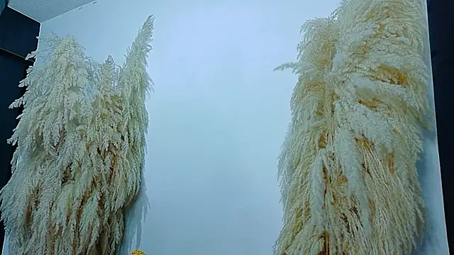 JulietaDavis online show from February 19, 8:03 am