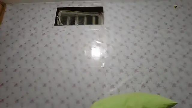 Roselingalvis13 online show from February 7, 3:32 am