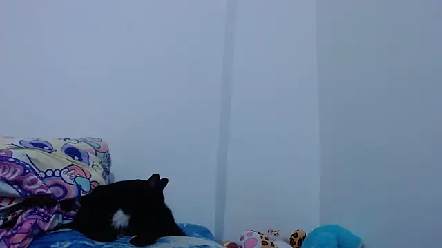 carolina zabala 19 online show from October 11, 5:37 pm