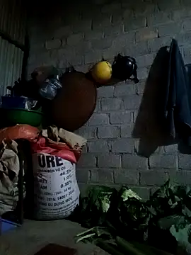 jienrrr online show from February 24, 11:31 am