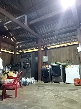 cincin 677 online show from October 22, 2:16 am