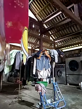 cincin 677 online show from October 9, 1:54 am