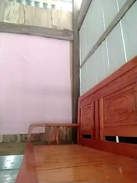 daisy will online show from November 15, 1:39 am