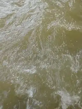 jeltsin3-25 online show from October 23, 6:58 pm