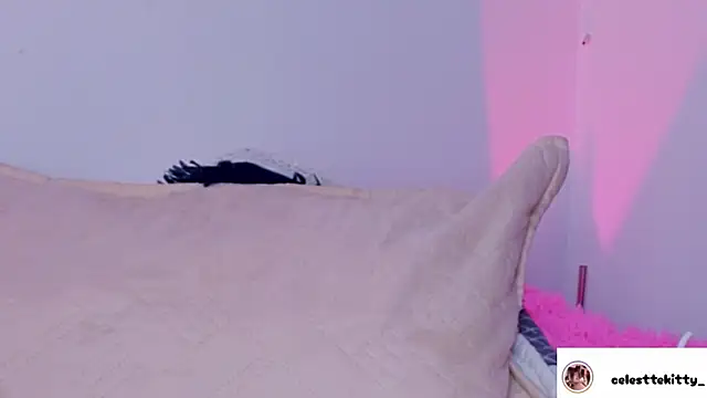 celestte evans 1 online show from December 20, 5:44 am