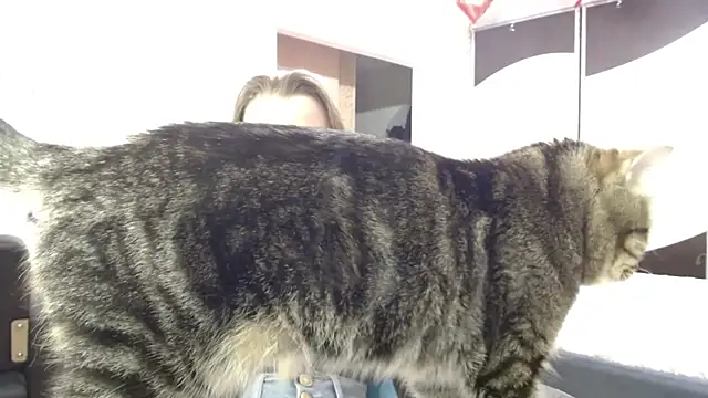 Lio noy online show from March 14, 9:16 pm