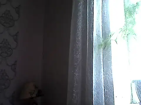 Littlecatme online show from July 11, 7:19 am