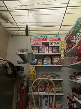 Sallem Pink online show from March 30, 11:10 am