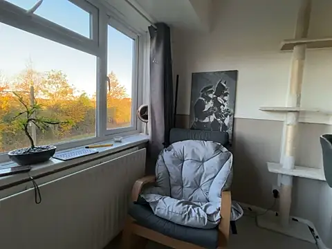 Dilfcam101 online show from October 24, 7:48 am