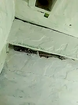 Daisygirl9 online show from October 19, 4:53 pm